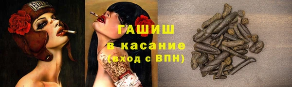 гидра Гусиноозёрск