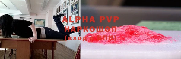 гидра Гусиноозёрск